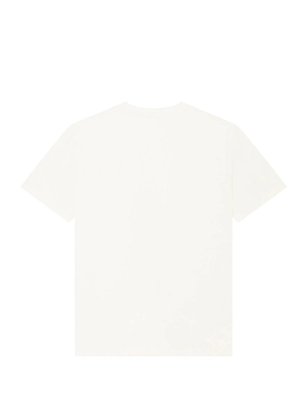 Plain white t-shirt on a white background