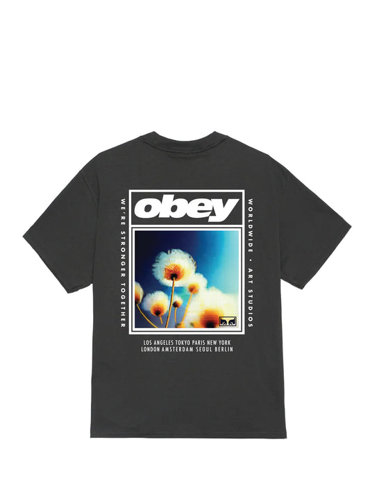 A vintage black short-sleeve t-shirt with a large graphic print on the front. The graphic features the white 'obey' logo above a square image of dandelions under a blue sky, with city names listed below.