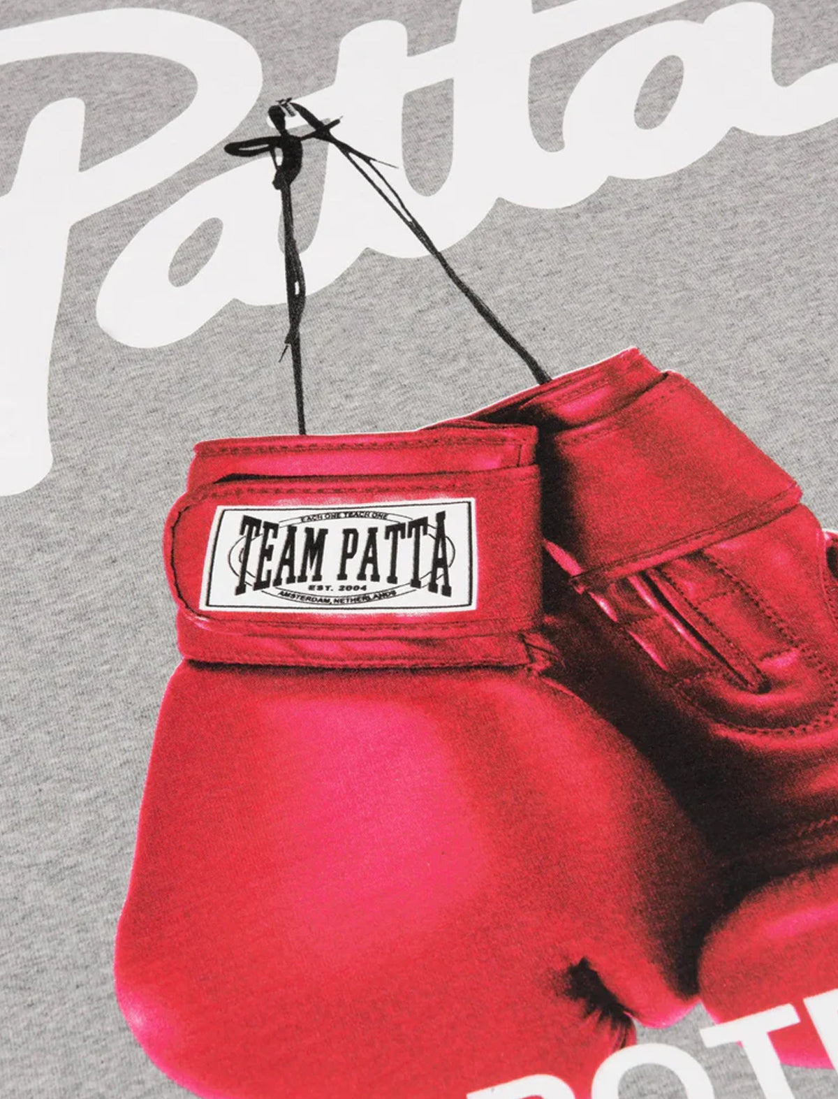 Patta Protect Yourself T-Shirt Grey